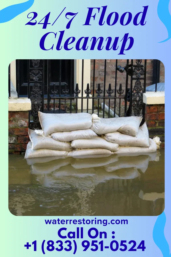 24/7 Flood Cleanup in Spokane Creek, MT