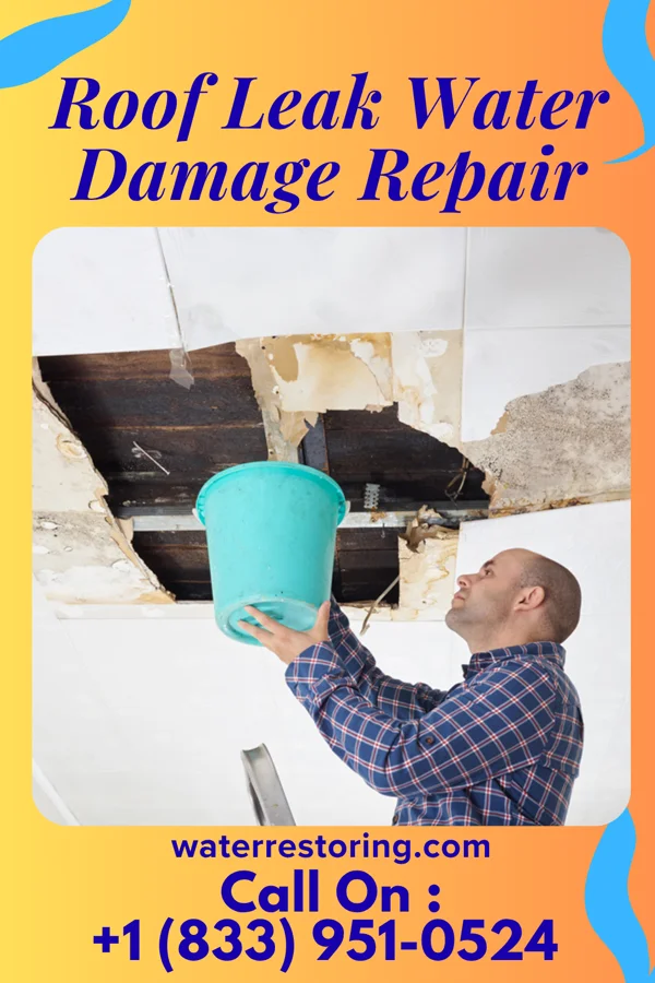 Roof Leak Water Damage Repair in Spokane Creek, MT
