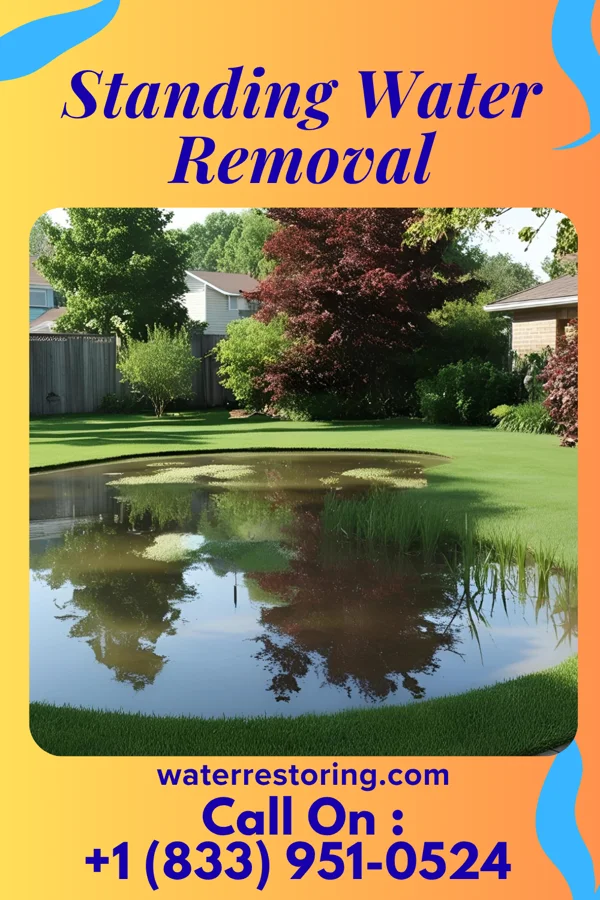 Standing Water Removal in Spokane Creek, MT